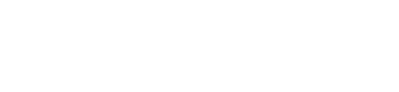 Bold Wellness
